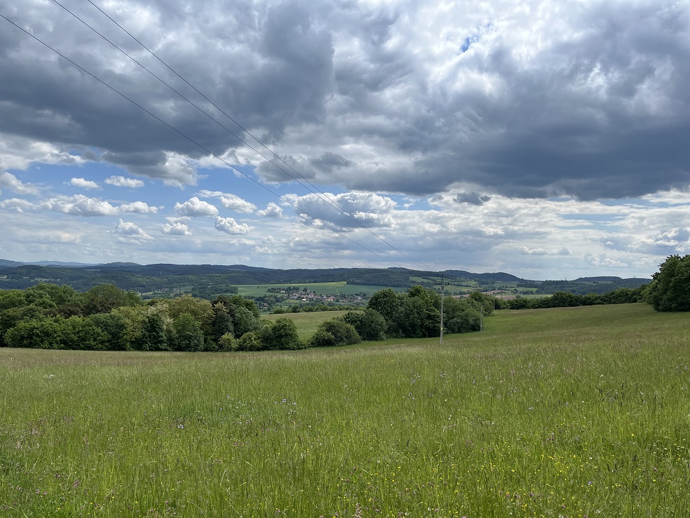 020_Prosecnice-Luka_250524