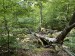 004_Prosecnice-Luka_250524