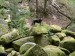 010_Prosecnice-Luka_250524