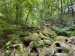 011_Prosecnice-Luka_250524
