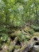 012_Prosecnice-Luka_250524