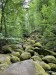 013_Prosecnice-Luka_250524