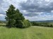 019_Prosecnice-Luka_250524